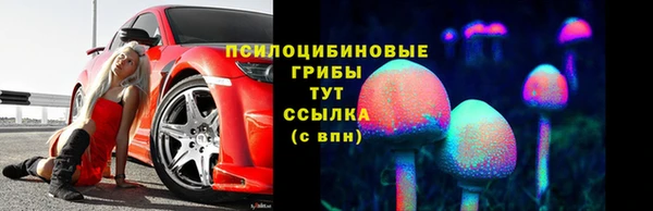 мет Няндома