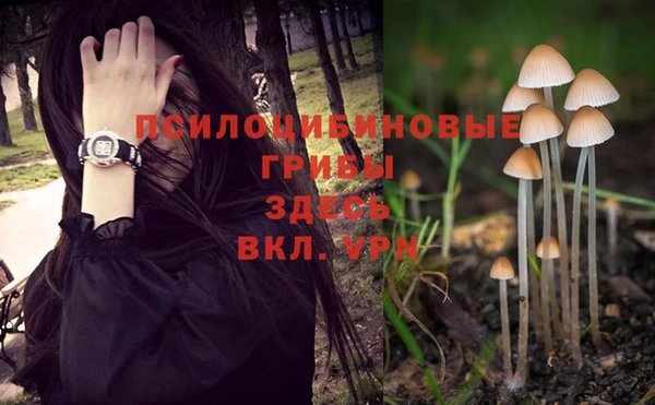 прущий лед Новозыбков