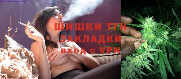 мет Няндома