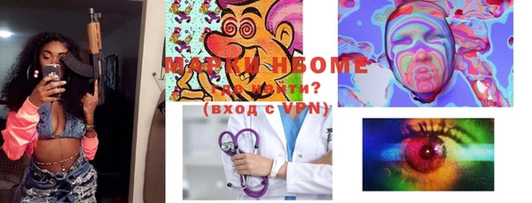 мет Няндома
