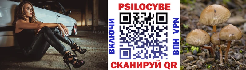 Псилоцибиновые грибы Psilocybe  Стрежевой 