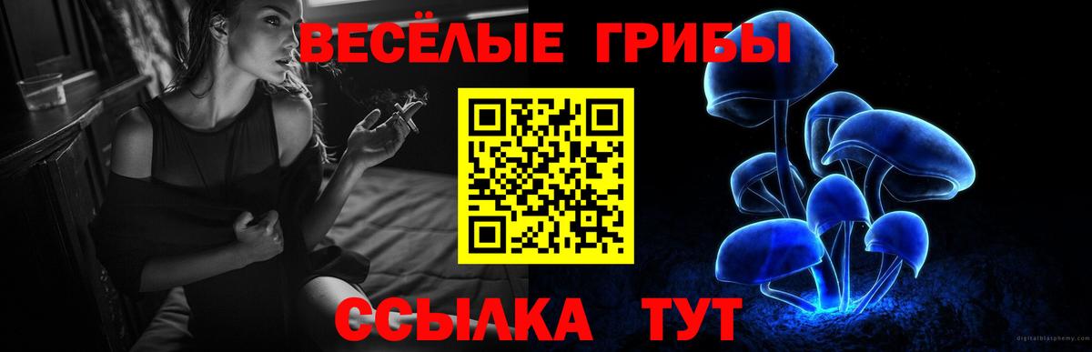 Псилоцибиновые грибы MAGIC MUSHROOMS  Вход с VPN  купить наркотики цена  Стрежевой 